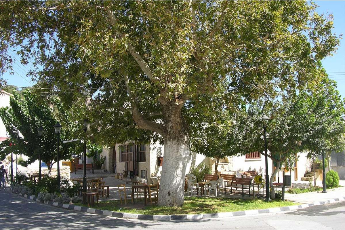 Avalon Village Houses Limassol Exterior photo