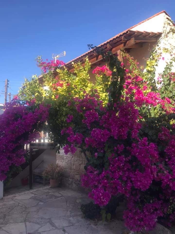 Avalon Village Houses Limassol Exterior photo
